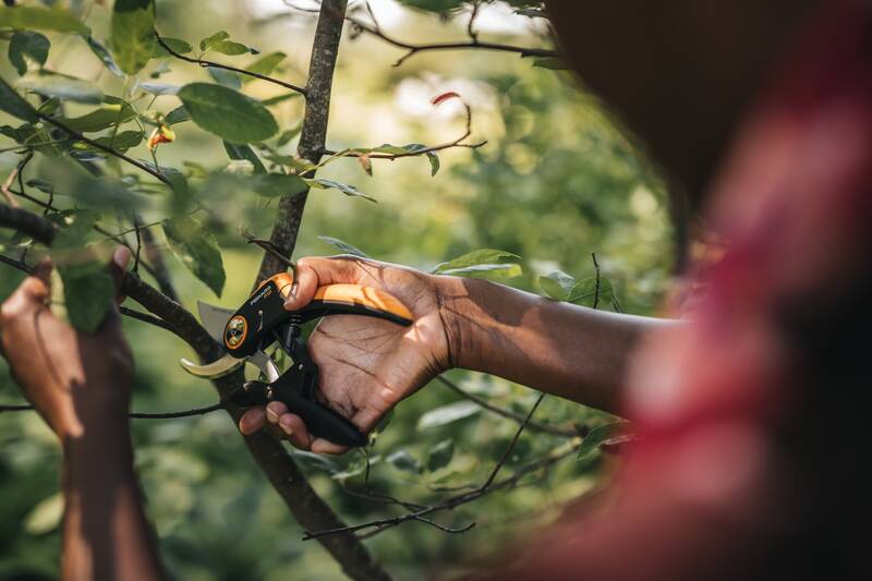 Dvoučepelové zahradní nůžky Fiskars Plus P721