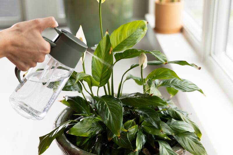 Karafa Fiskars na zalévání a vlhčení