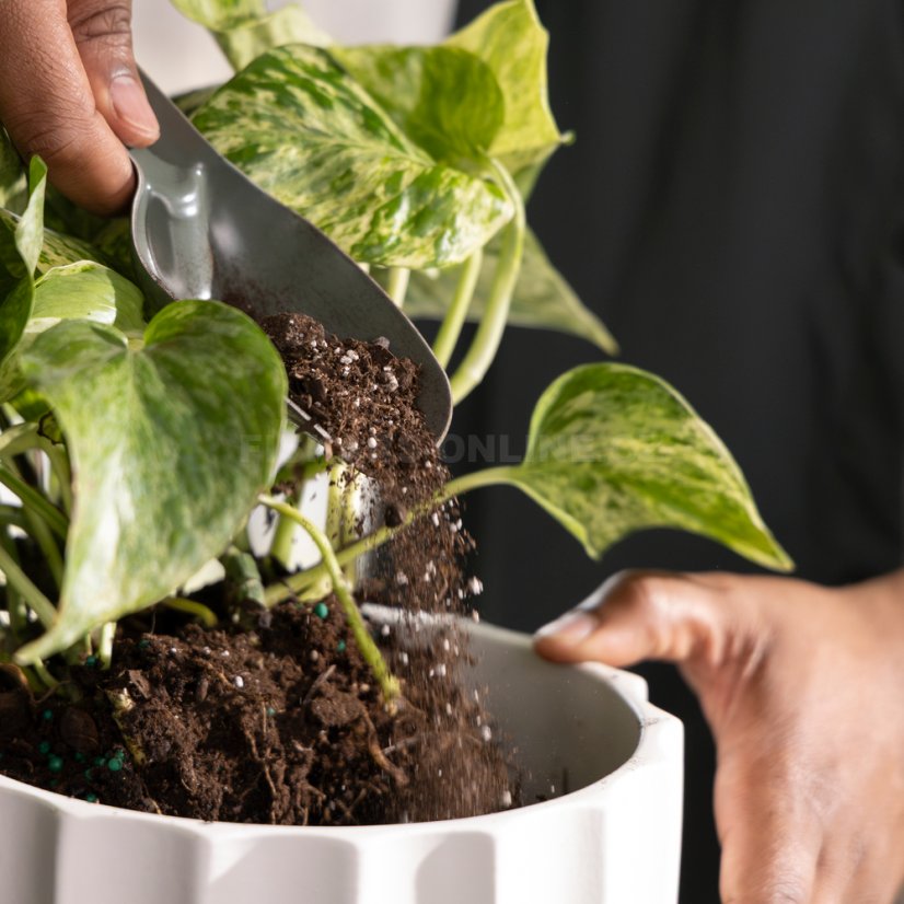 Sada nářadí Fiskars na kultivaci, 5 ks