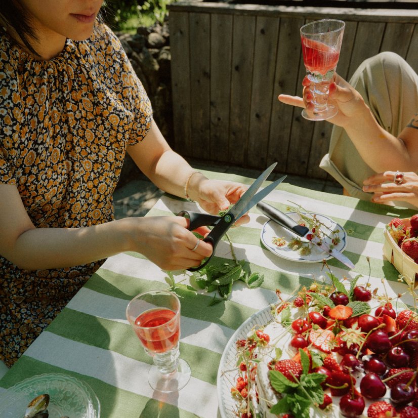 Kuchyňské nůžky Fiskars Functional Form ReNew