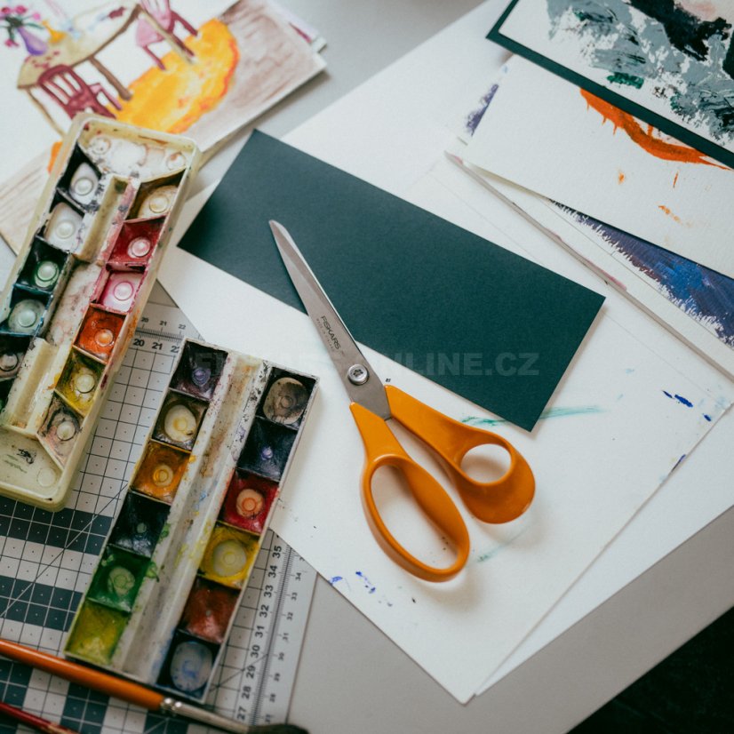 Univerzální nůžky Fiskars Classic 21cm