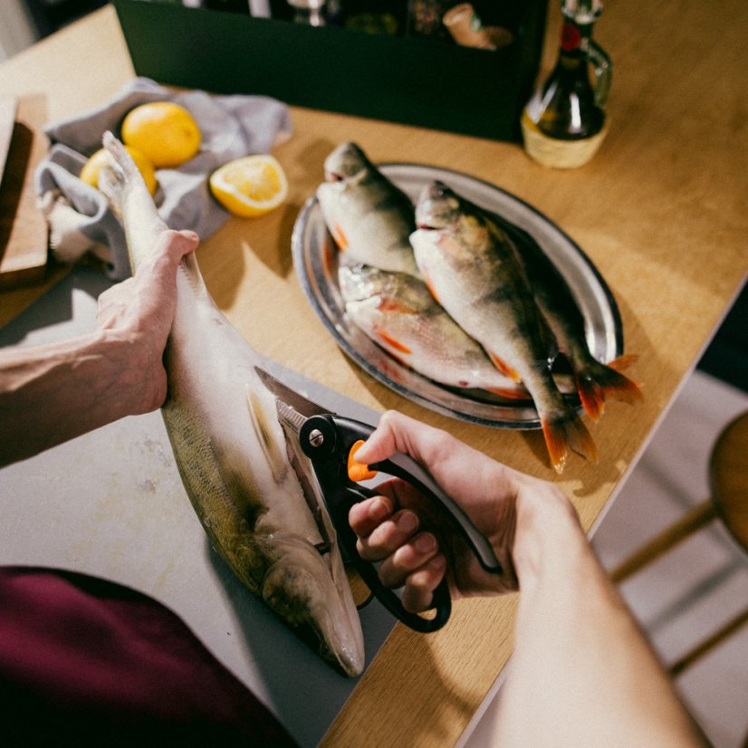 Nůžky na ryby Fiskars Functional Form™