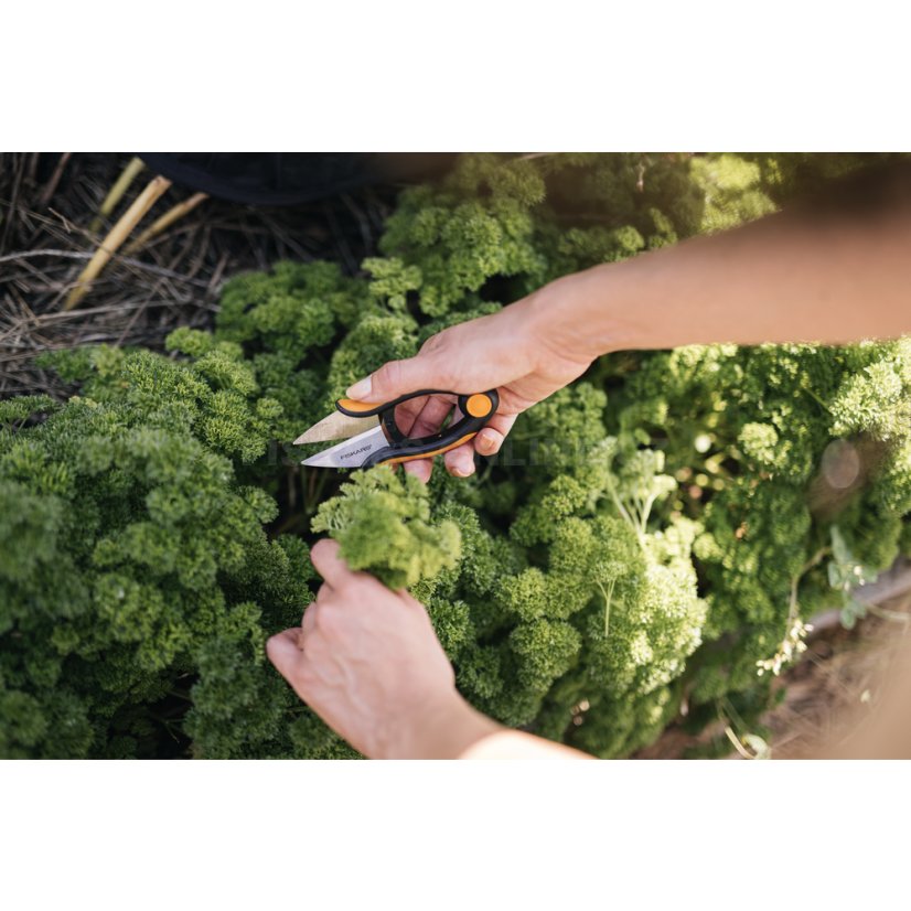 Nůžky na bylinky Fiskars Solid SP220