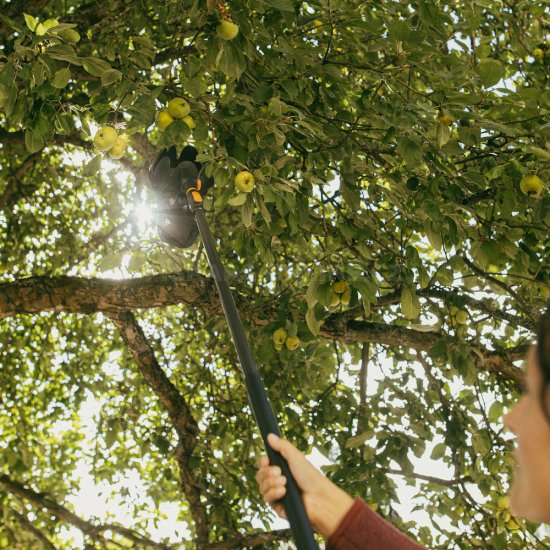 Zberač ovocia Fiskars OneClick