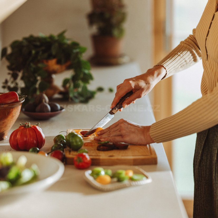 Snídaňový nůž Fiskars Folken
