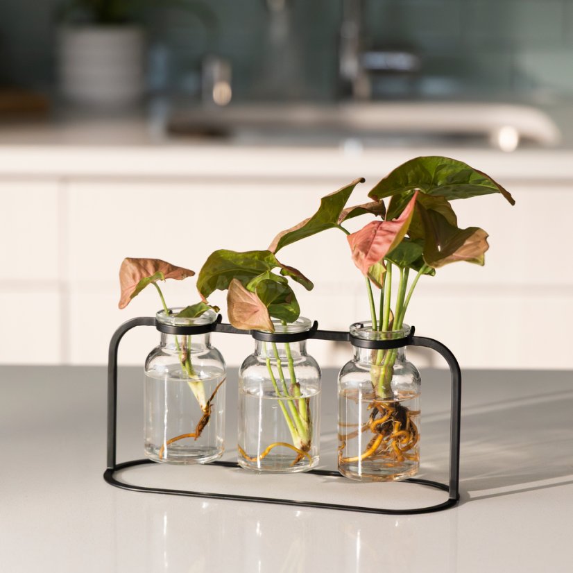 Stanice pro množení rostlin Fiskars