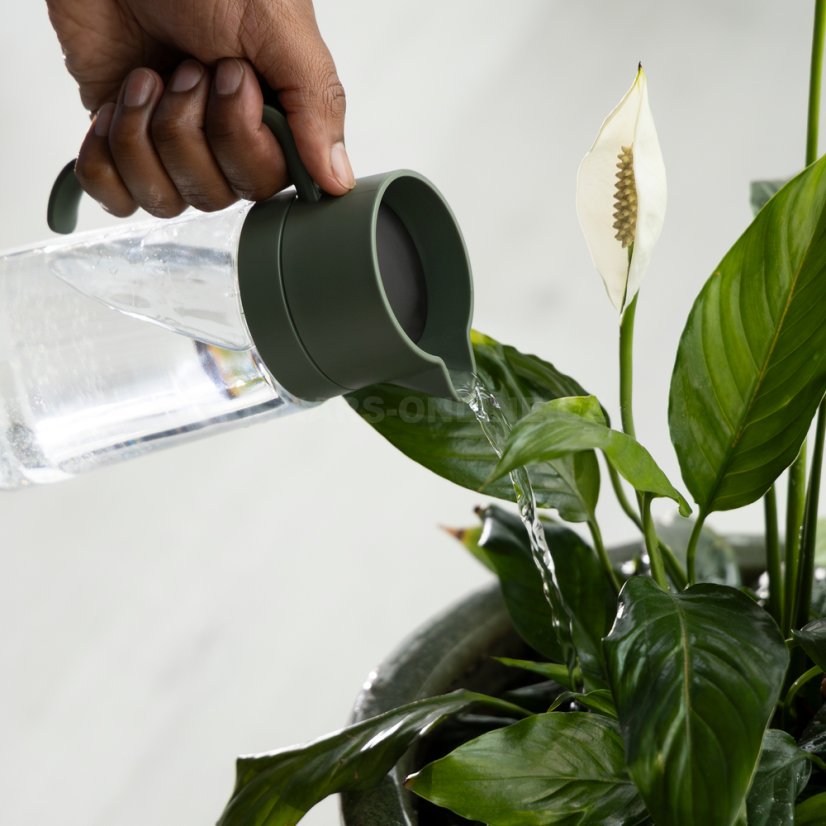 Karafa na zalévání