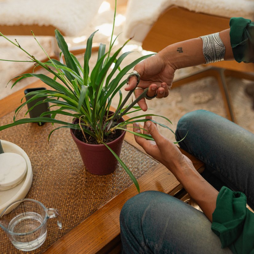 Prostřihávací nůžky špičaté s pouzdrem