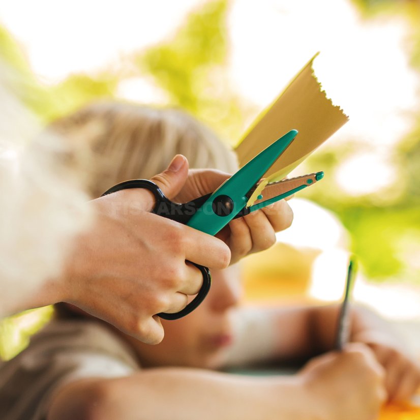 Sada dětských tvarových nůžek vzory močálů a bažin