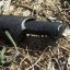 Sekera s pílkou Gerber Gator Combo II