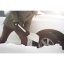 Lopatka do auta Fiskars SnowXpert