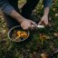Outdoorový nôž Fiskars Norden