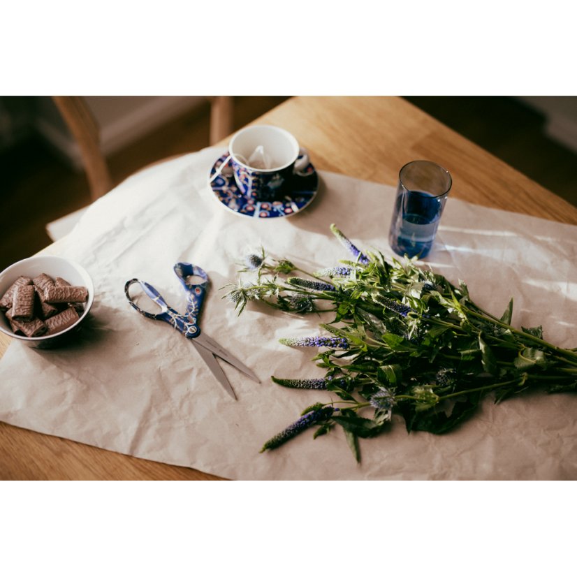 Univerzální nůžky Fiskars FXI Taika modré