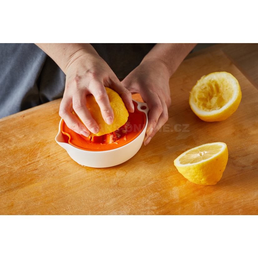 Lis na citrusy Fiskars Functional Form