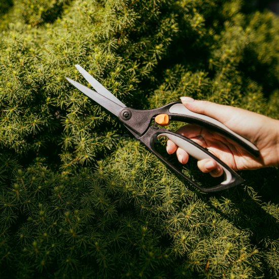 Nožnice na trávu Fiskars S50