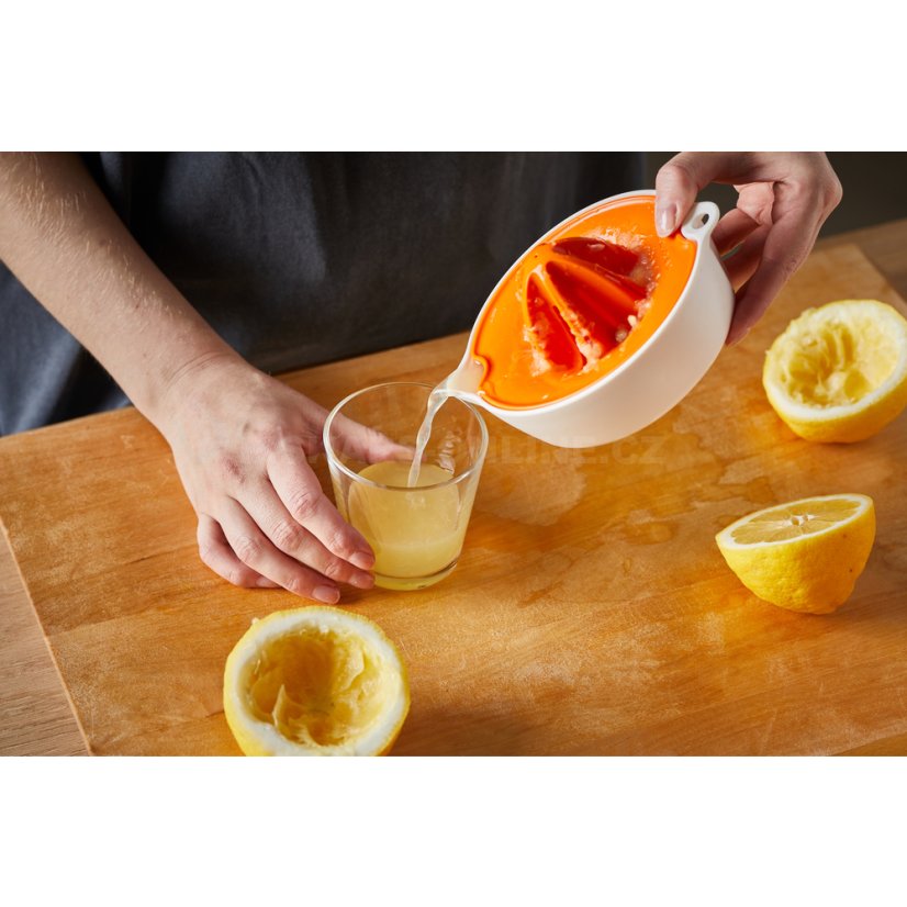 Lis na citrusy Fiskars Functional Form