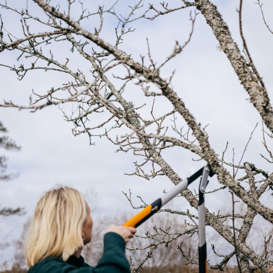 Dvojručné nožnice Fiskars PowerGearX LX94