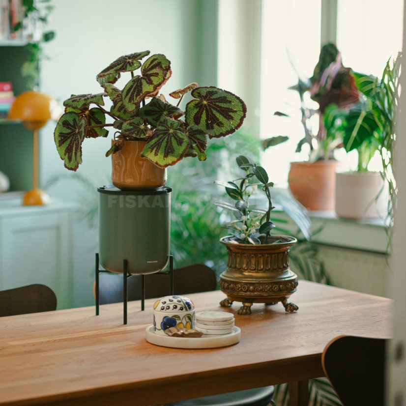 Sada pro zavlažování pokojových rostlin