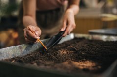 Příprava zahrady po zimě a sázení