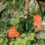 Lopatka Fiskars OneClick