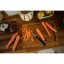 Lúpací nôž Fiskars Functional Form™