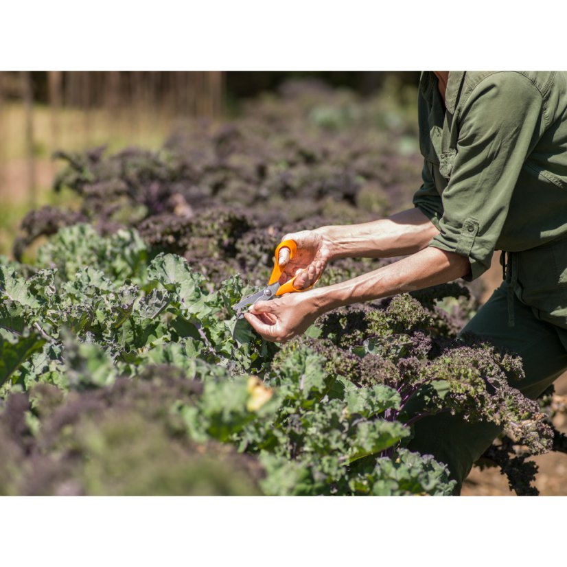 Univerzální zahradní nůžky Fiskars 18cm