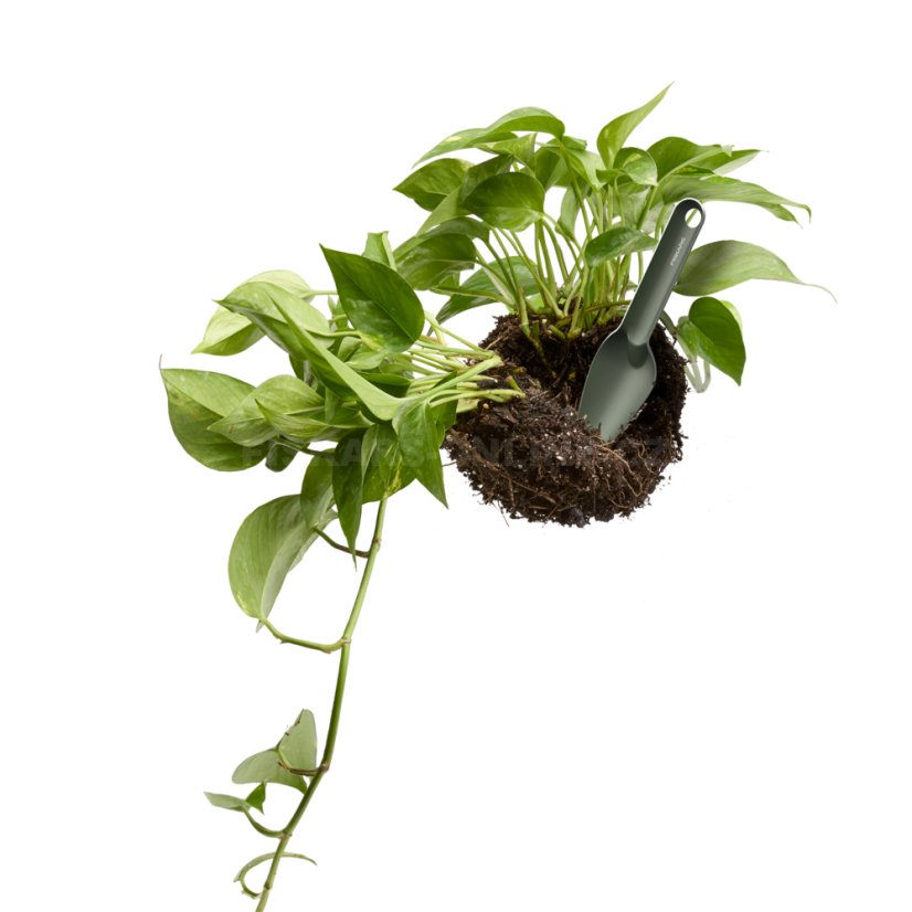 Sada nářadí Fiskars na kultivaci, 5 ks