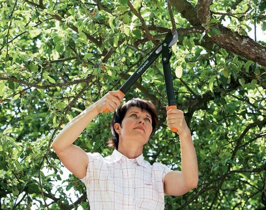 Dvojručné nožnice Fiskars, nožnicová hlava L72
