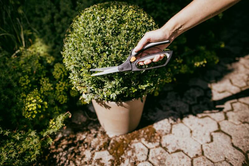 Nůžky na trávu Fiskars S50