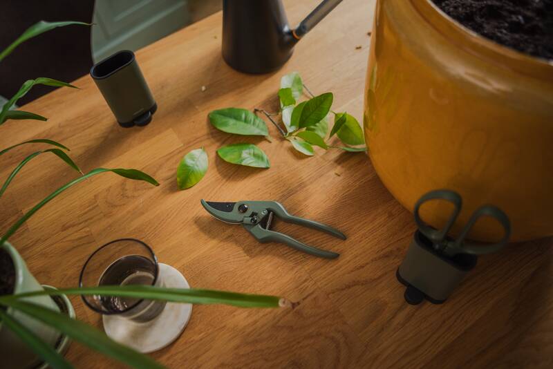 Zahradní nůžky s pouzdrem pro domácí pěstování Fiskars