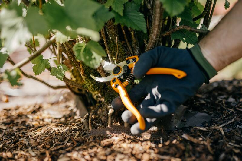 Profesionální zahradnické nůžky Fiskars PB-8 (M)