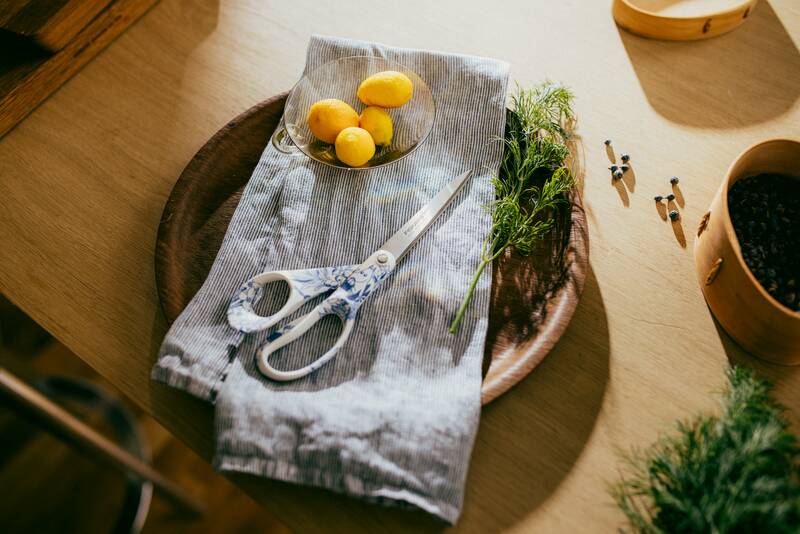 Univerzální nůžky Fiskars FXR Ostindia Floris