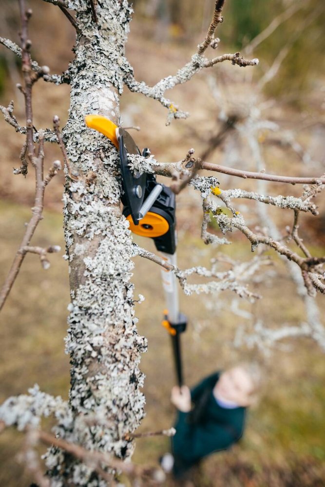 Teleskopické nůžky na stromy Fiskars UPX86