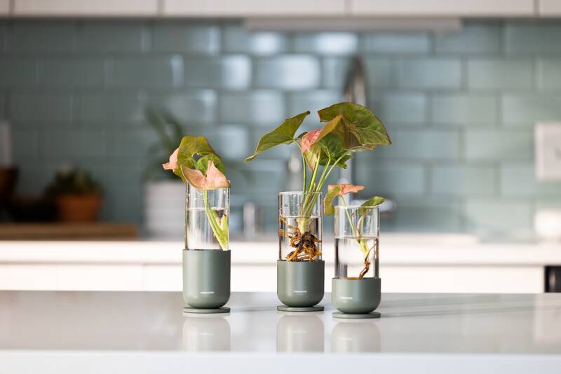 Sada Fiskars na množení rostlin